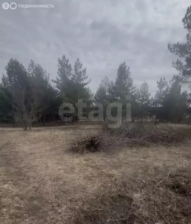 Участок в Рамонский район, Новоживотинновское сельское поселение, СНТ ... - Фото 1