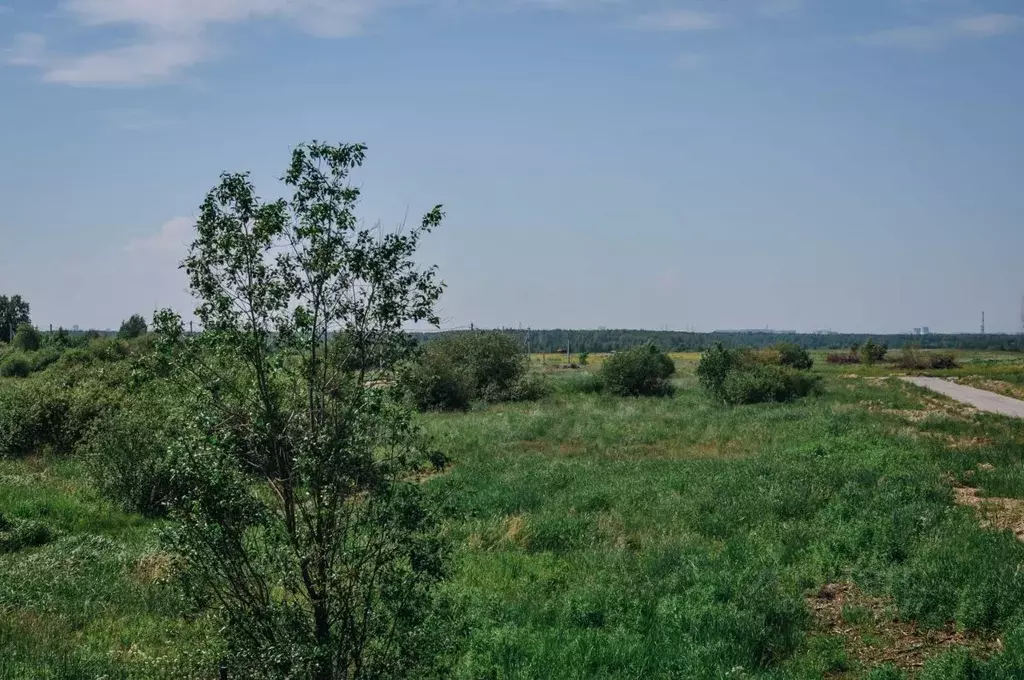 Участок в Ленинградская область, Всеволожский район, Колтушское ... - Фото 1