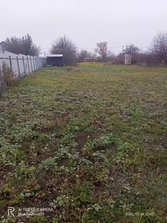 Участок в Белгородская область, Белгородский район, Тавровское с/пос, ... - Фото 1