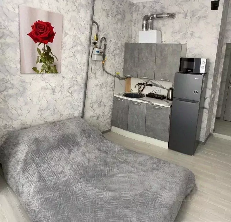 1-к кв. Краснодарский край, Анапа Анапское ш., 30 (20.0 м) - Фото 1