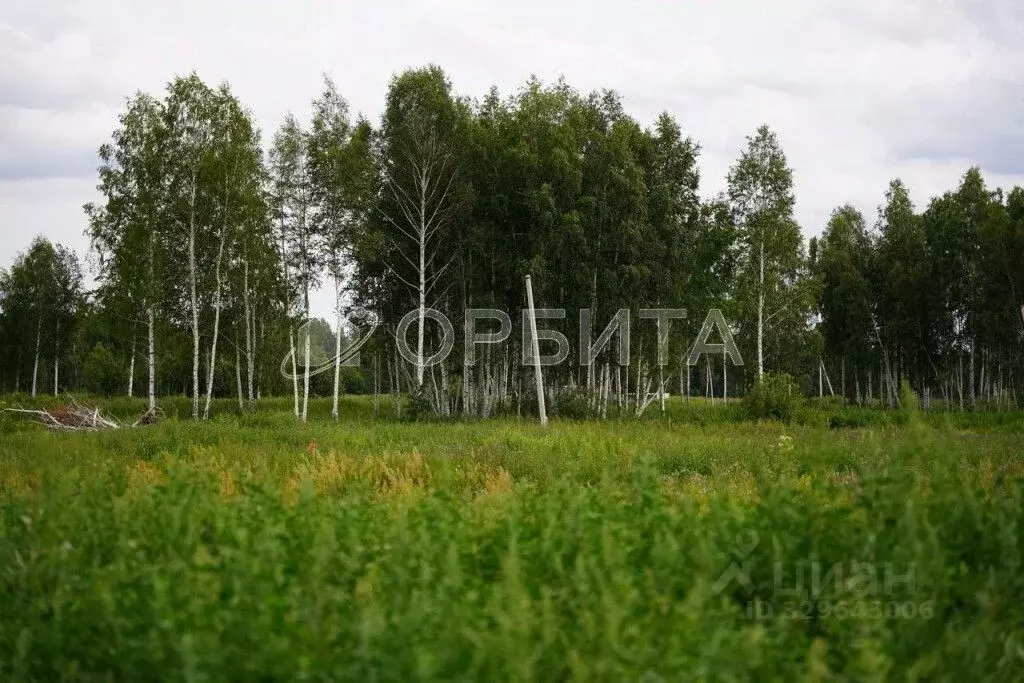 Участок в Тюменская область, Нижнетавдинский муниципальный округ, ... - Фото 1