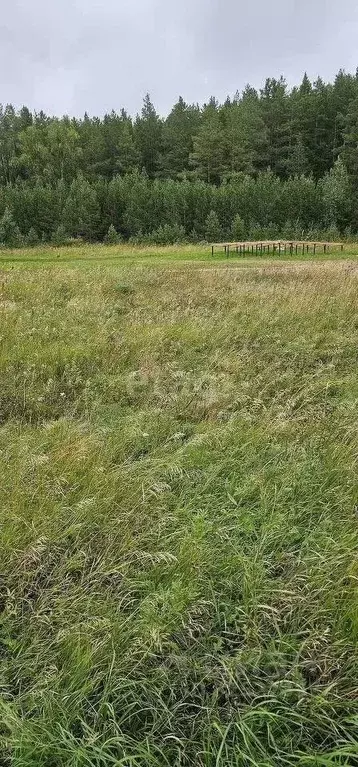 Участок в Свердловская область, Сысертский муниципальный округ, Лесные ... - Фото 1