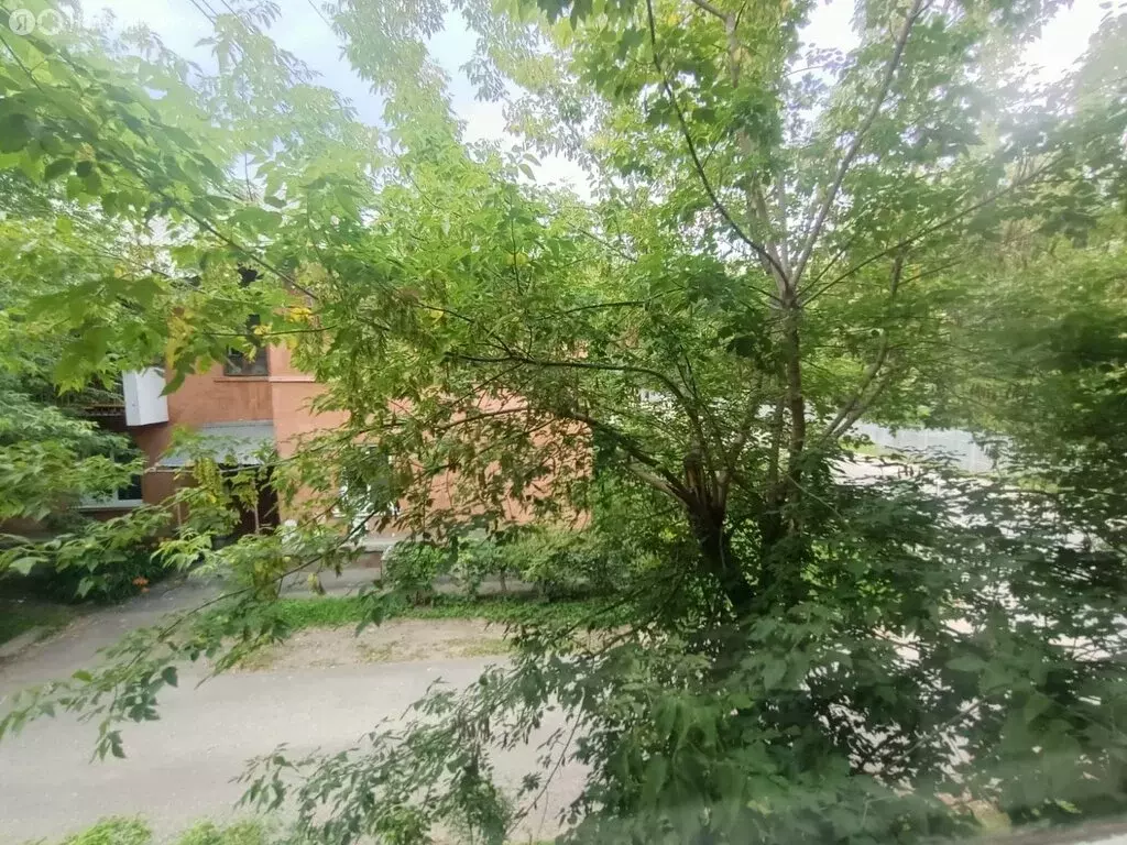 1к в 3-комнатной квартире (12 м) - Фото 0