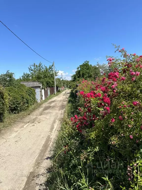 Участок в Калининградская область, Янтарный пгт, Садовник СНТ ул. ... - Фото 0