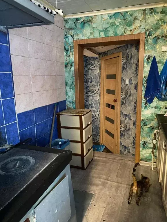 Дом в Кемеровская область, Новокузнецк Одесская ул. (50 м) - Фото 2