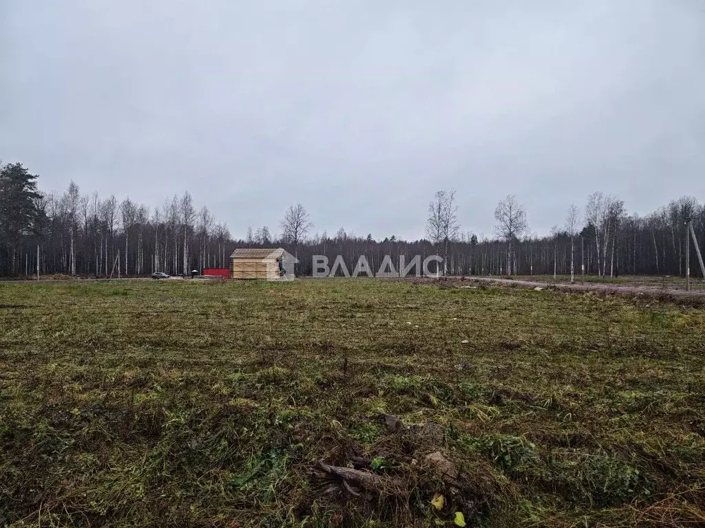 Участок в Ленинградская область, Всеволожский район, Свердловское ... - Фото 2
