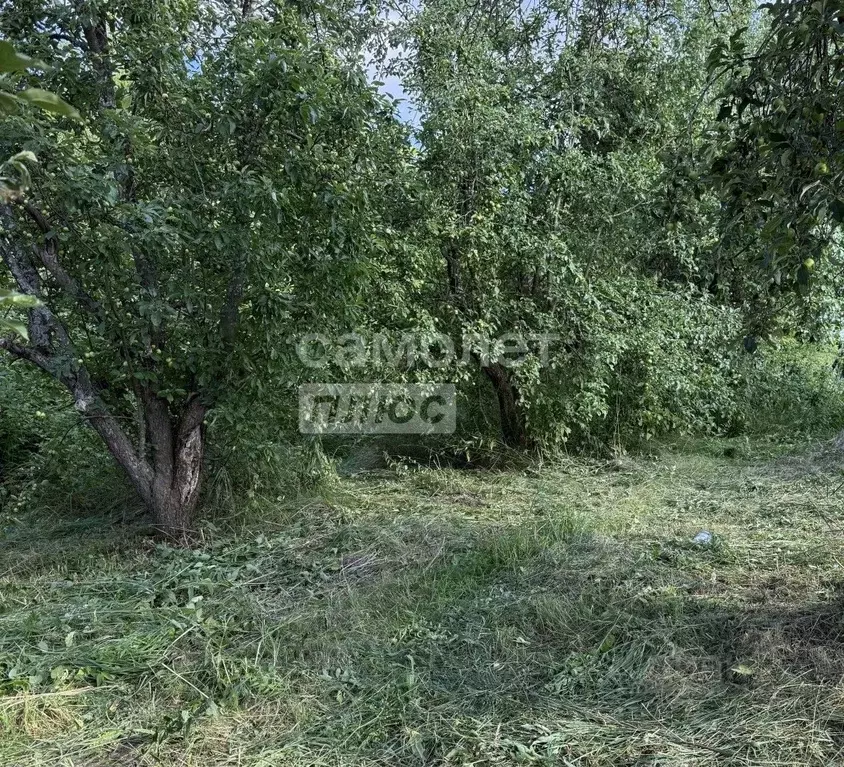 Участок в Рязанская область, Спасский муниципальный округ, с. Старая ... - Фото 1