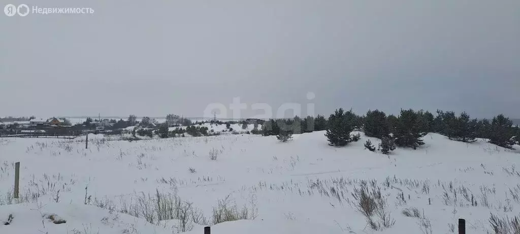 Участок в Касли, улица Заветы Ильича (15 м) - Фото 1