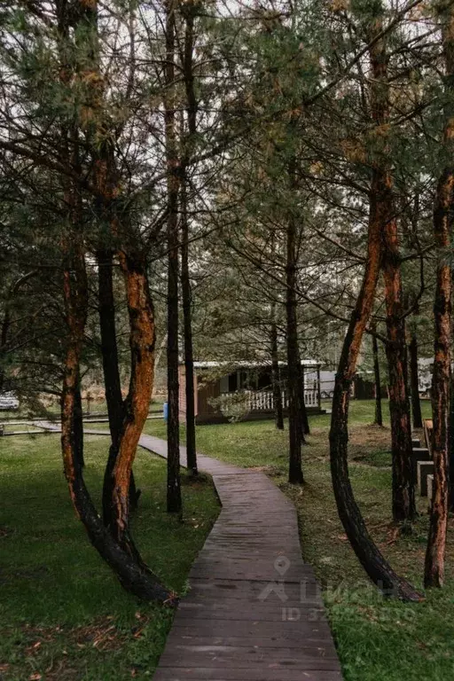 Дом в Алтай, Чемальский район, пос. Усть-Сема ул. Ильи Захаровича ... - Фото 0