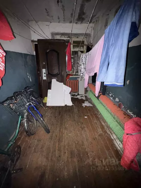 Комната Владимирская область, Собинский муниципальный округ, д. ... - Фото 1