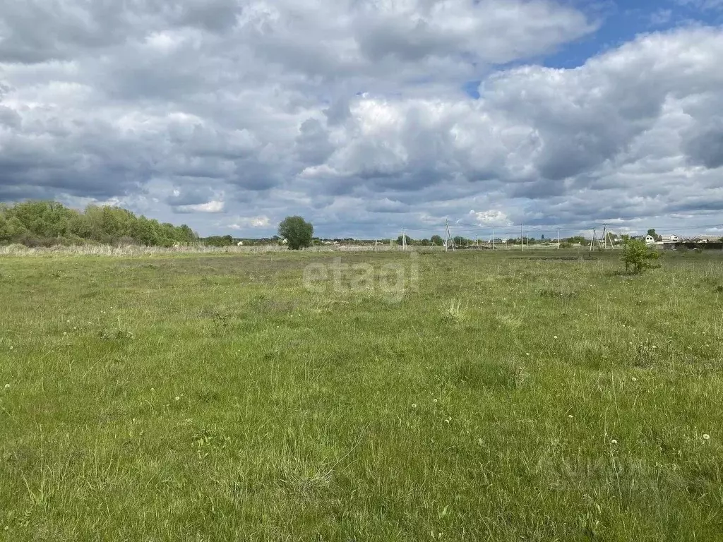 Участок в Воронежская область, с. Новая Усмань ул. Коммунарская (8.4 ... - Фото 1