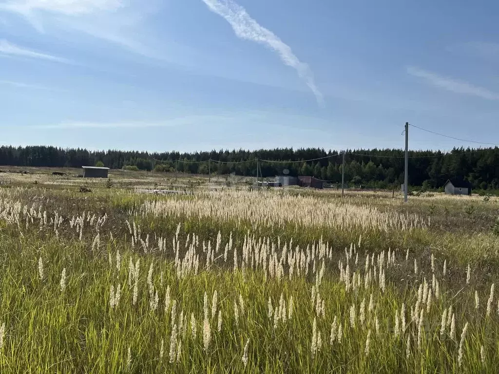 Участок в Ульяновская область, Ульяновск городской округ, с. Луговое ... - Фото 0