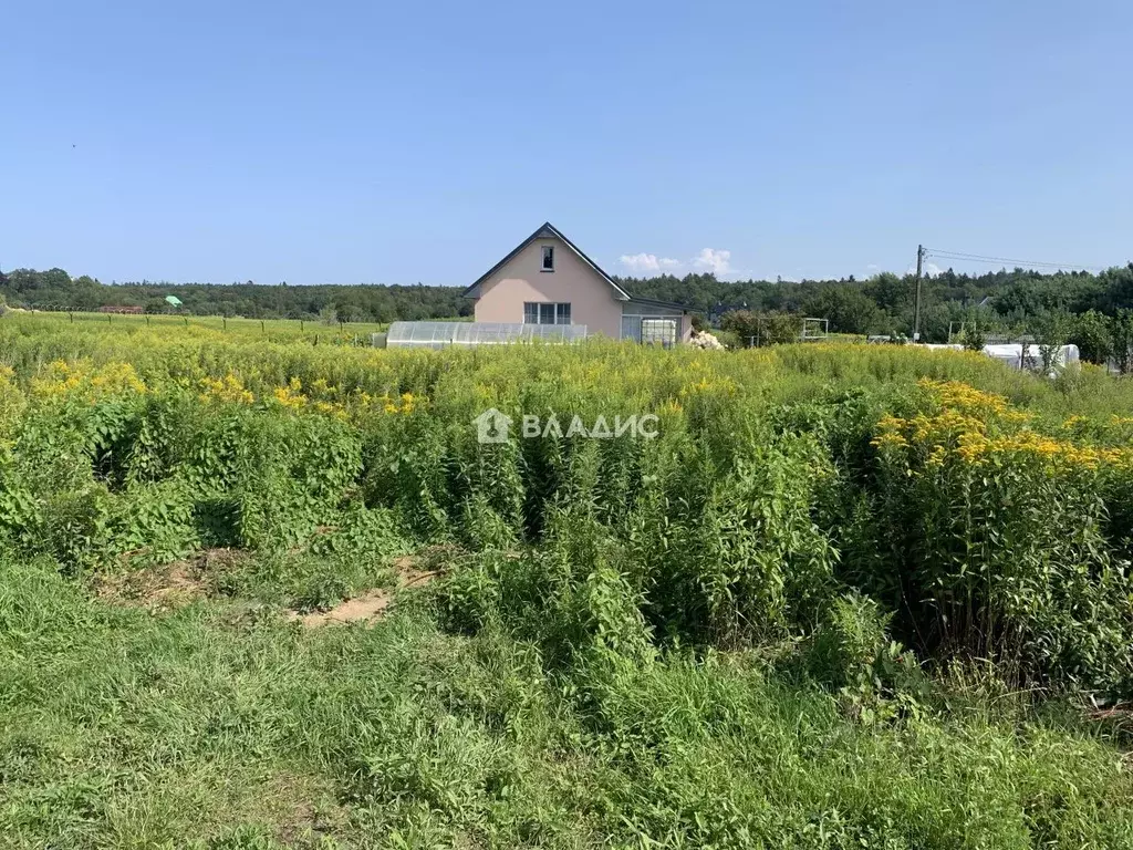 Участок в Калининградская область, Светлогорск Радуга СНТ, 17-я линия, ... - Фото 1