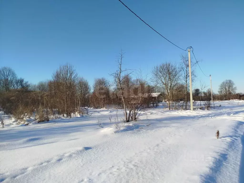 Участок в Псковская область, Остров ул. Энтузиастов (1440.0 сот.) - Фото 2