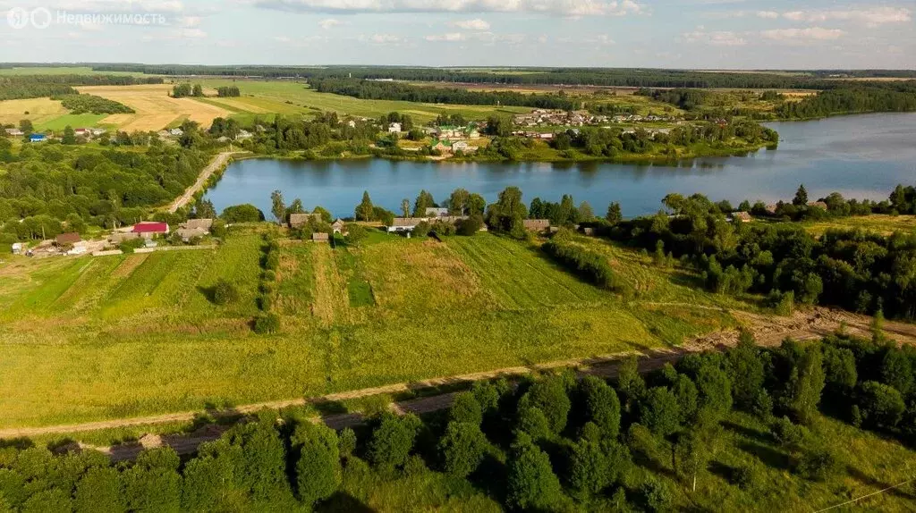 Участок в Брянская область, Жуковский муниципальный округ, село ... - Фото 1