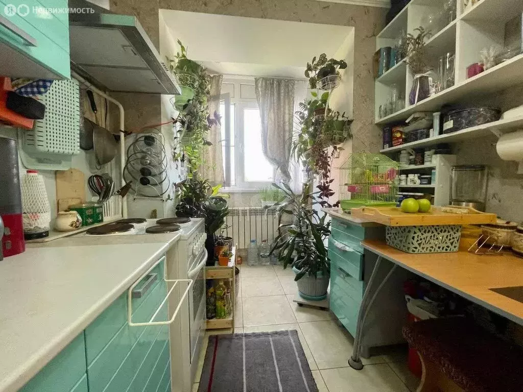 1-комнатная квартира: Анапа, улица Ленина, 134 (31 м) - Фото 1