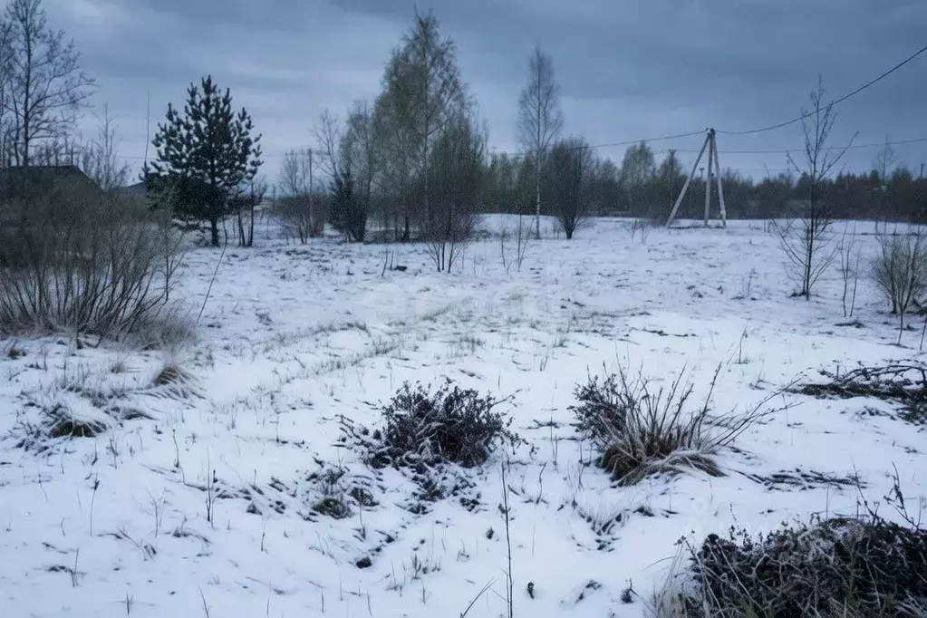 Участок в Ярославская область, Некрасовское рп  (12.0 сот.) - Фото 1