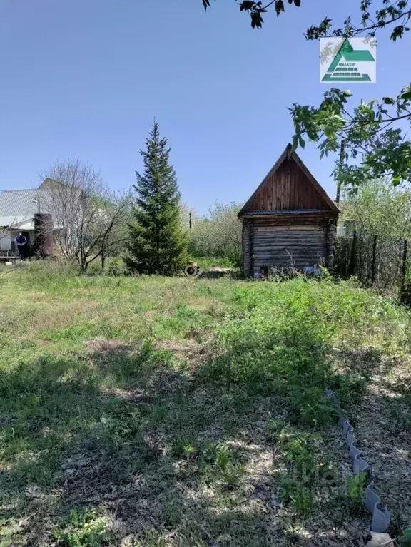 Участок в Оренбургская область, Оренбургский район, Маяк садовое ... - Фото 1