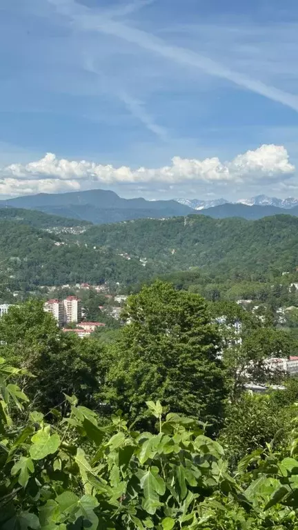 Дом в Краснодарский край, Сочи Приморье мкр, ул. Есауленко, 12/2 (50 ... - Фото 1