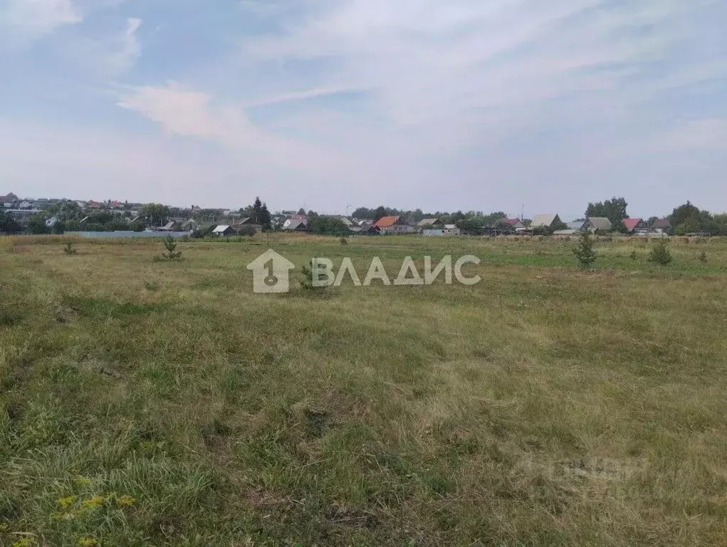 Участок в Пензенская область, с. Бессоновка ул. Зинукова, 71 (23.0 ... - Фото 0