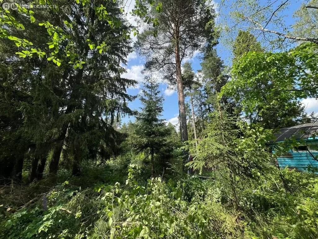 Участок в Киржач, Дачная улица (15 м) - Фото 1