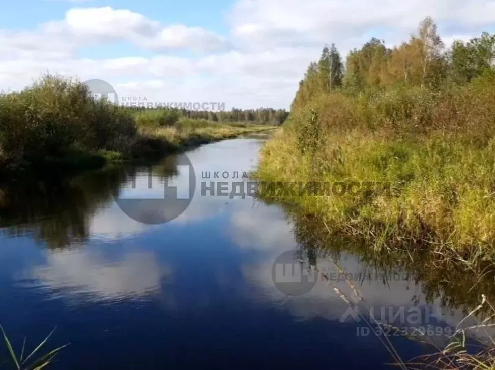 Участок в Ленинградская область, Всеволожский район, Романовское ... - Фото 2