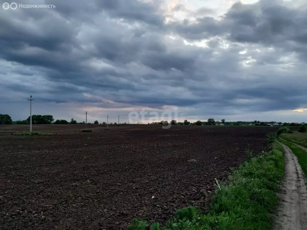 Участок в Лискинский район, Троицкое сельское поселение, село Троицкое ... - Фото 1