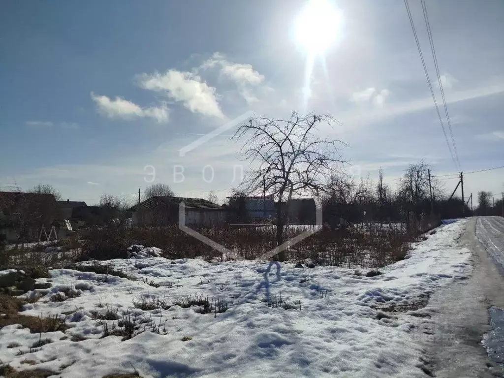 Участок в Калининградская область, Гурьевский муниципальный округ, СНТ ... - Фото 1