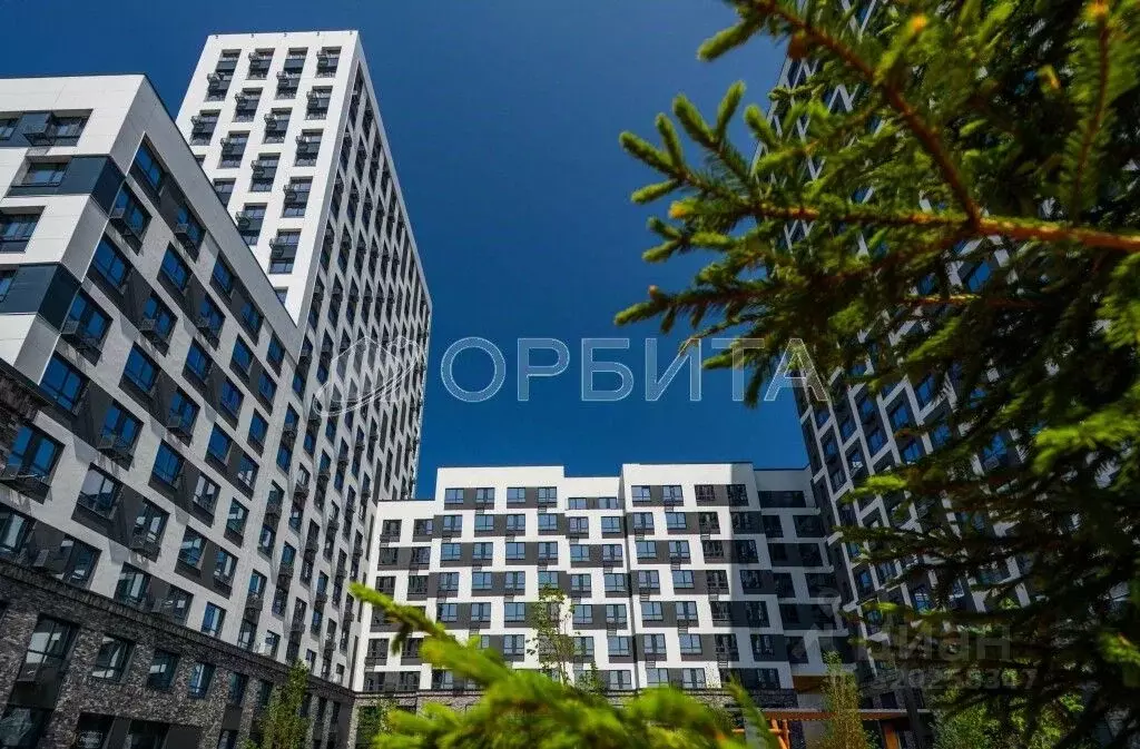 Студия Тюменская область, Тюмень ул. Ветеранов Труда, 36к1 (30.7 м) - Фото 1