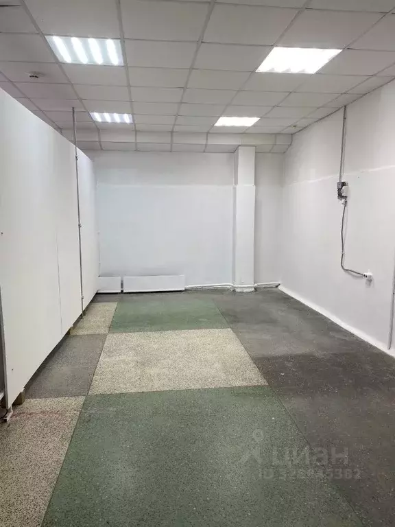 Помещение свободного назначения в Алтайский край, Барнаул Сиреневая ... - Фото 1