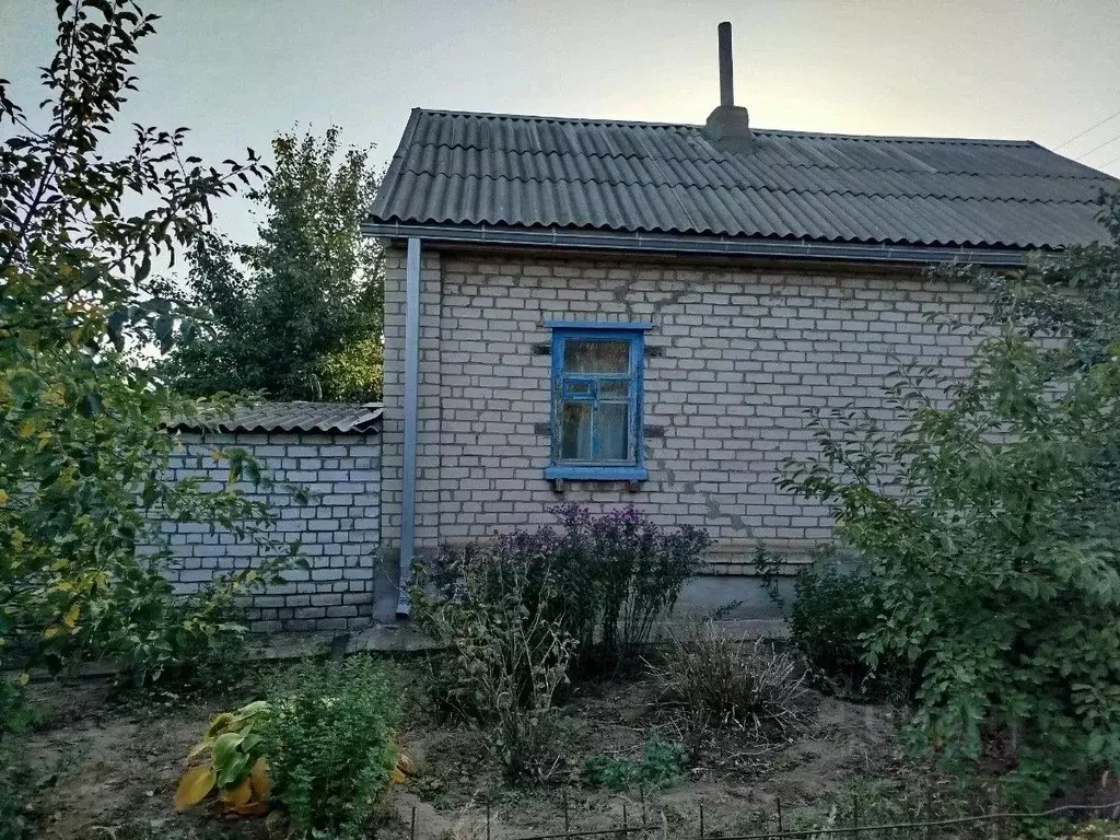 Дом в Волгоградская область, Волгоград ул. Филатова (58 м) - Фото 1