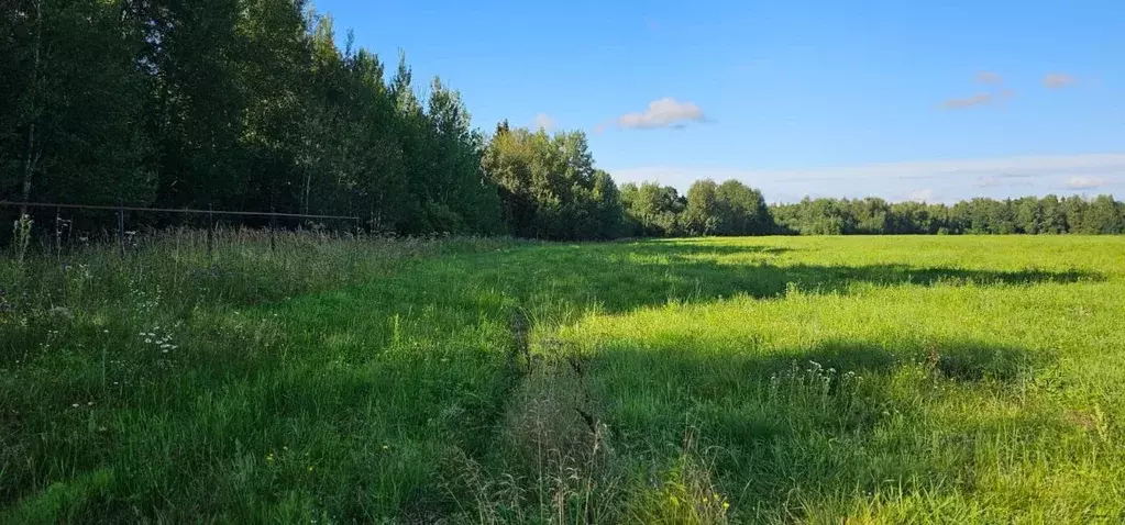 Участок в Московская область, Истра муниципальный округ, д. Назарово, ... - Фото 1