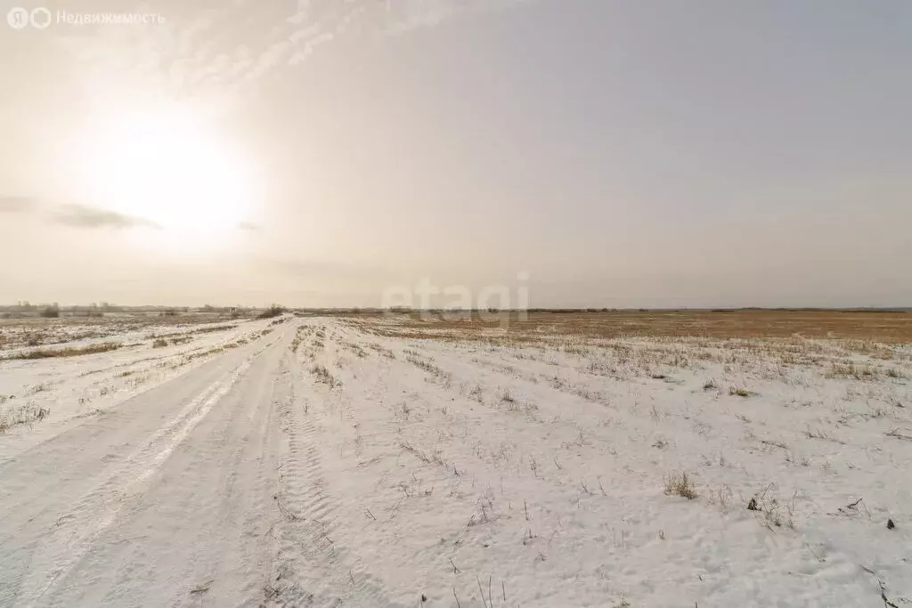 Участок в Красноармейский район, село Канашево (10 м) - Фото 1