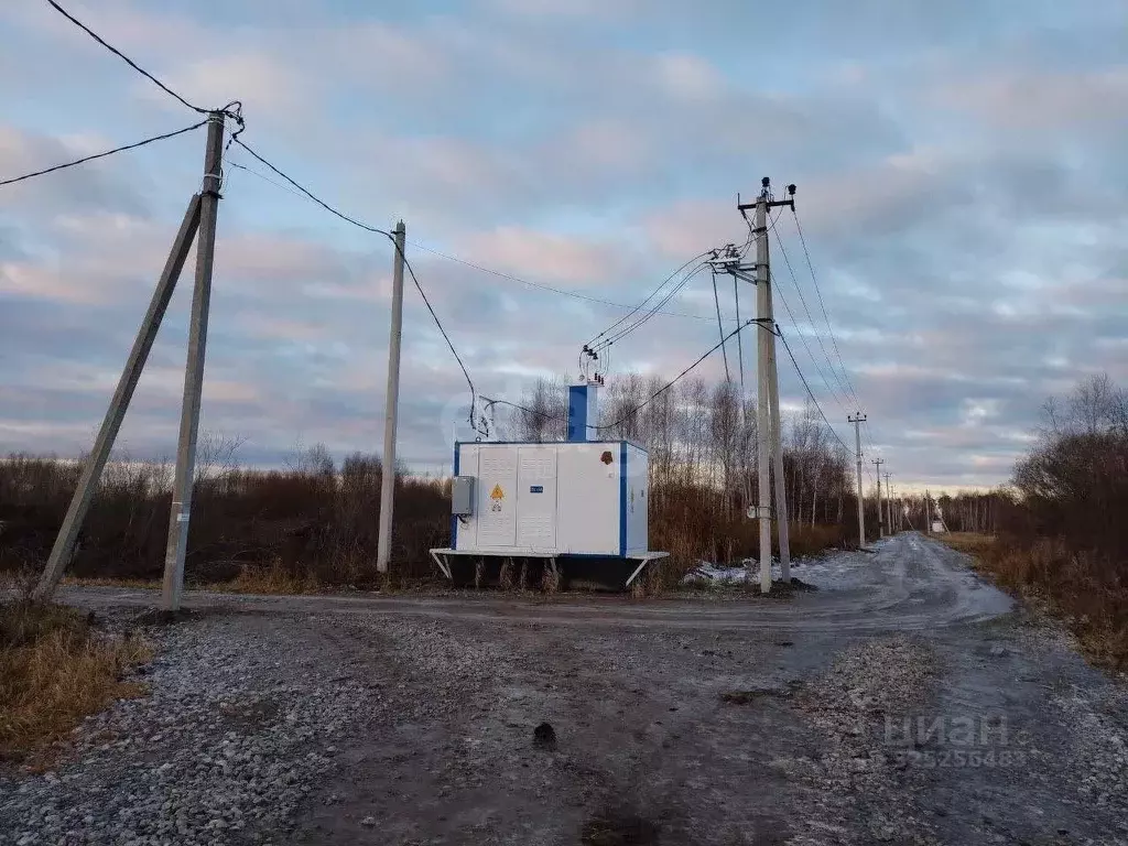 Участок в Тюменская область, Нижнетавдинский муниципальный округ, ... - Фото 2