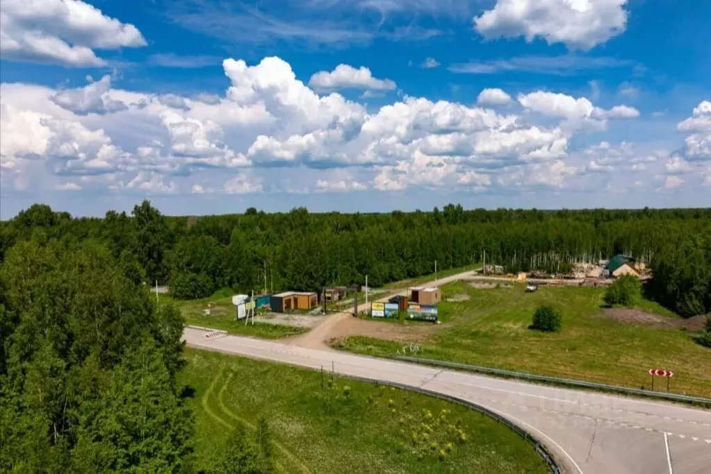 Участок в Новосибирская область, Мошковский район, Недача кп  (9.0 ... - Фото 2