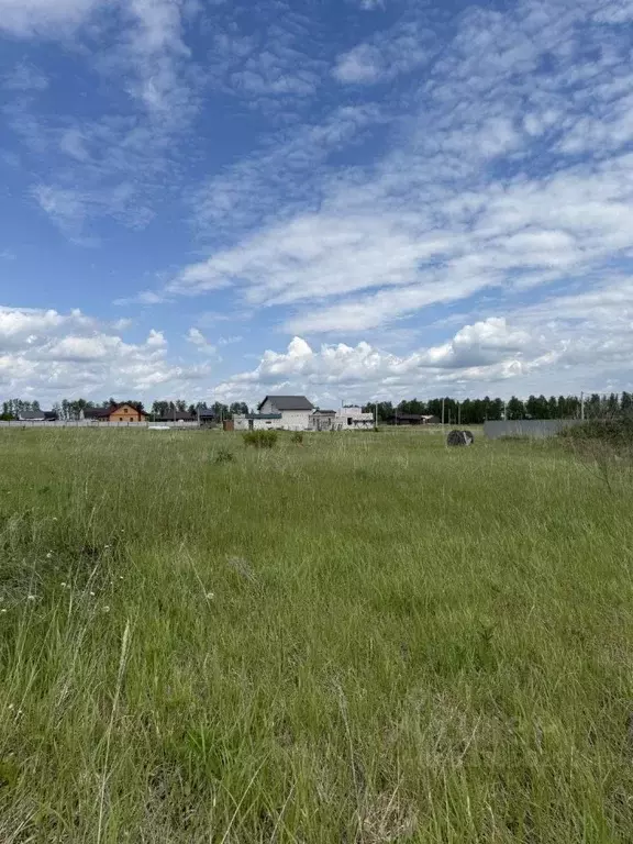 Участок в Пензенская область, с. Бессоновка ул. Родниковая (14.0 сот.) - Фото 0