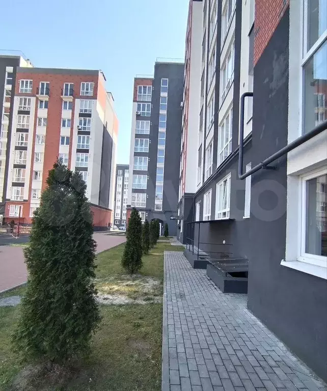 1-к. квартира, 28,5 м, 1/8 эт. - Фото 0