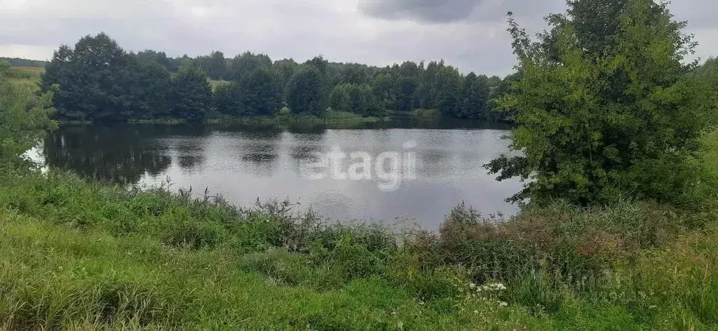 Участок в Владимирская область, Муромский район, Ковардицкое ... - Фото 1