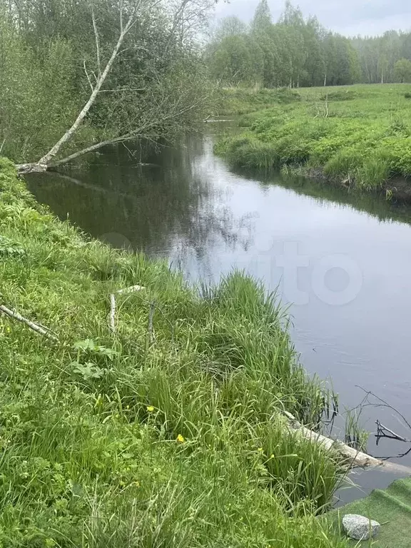 Участок 20 сот. (СНТ, ДНП) - Фото 0