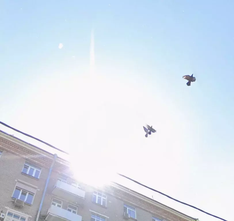 1-к кв. Москва Профсоюзная ул., 5/9 (46.9 м) - Фото 1