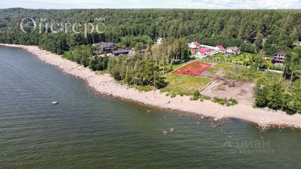 Участок в Ленинградская область, Выборгский район, Полянское с/пос, ... - Фото 2