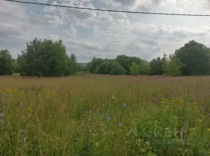 Участок в Московская область, Коломна городской округ, д. Борисово  ... - Фото 0
