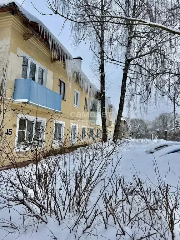 2-к кв. Московская область, Воскресенск Цемгигант мкр, ул. 40 лет ... - Фото 2