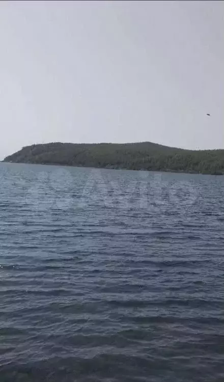 Участок 16 сот. (ИЖС) - Фото 1