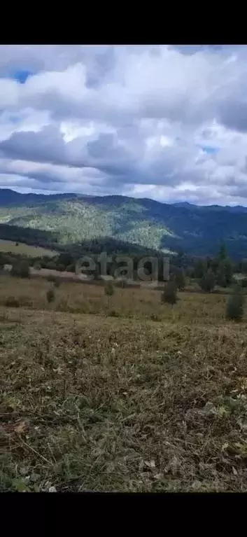 Участок в Алтай, Чемальский район, Элекмонарское с/пос, Седьмое Небо ... - Фото 1