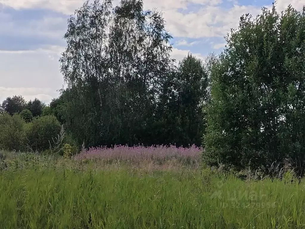 Участок в Ленинградская область, Лужский район, Осьминское с/пос, д. ... - Фото 2