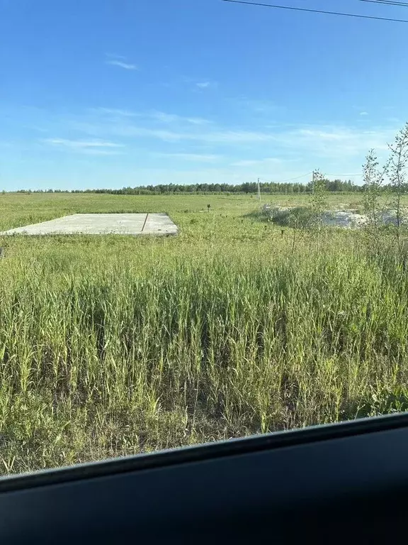 Участок в Московская область, Шатура муниципальный округ, д. ... - Фото 1