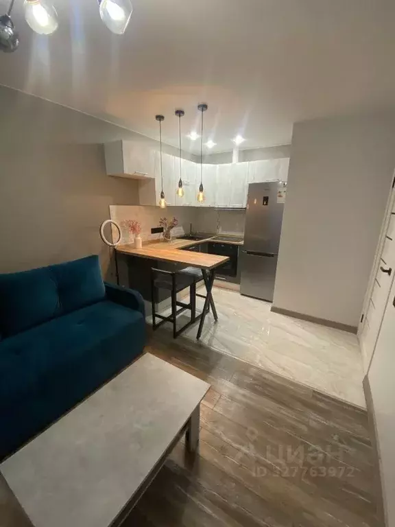 1-к кв. Московская область, Ленинский городской округ, д. Сапроново, ... - Фото 1