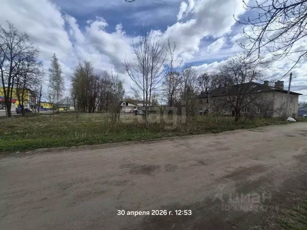 Участок в Псковская область, Дно ул. Космонавтов, 15 (12.0 сот.) - Фото 1