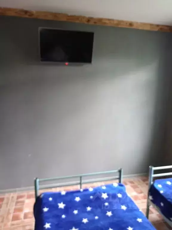 Студия Псковская область, Великие Луки Горицкая ул., 15 (24.0 м) - Фото 2